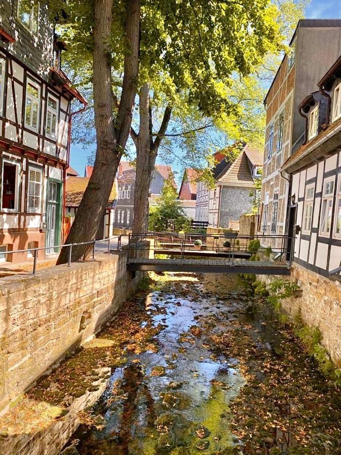 Ferienhaus Zur Abzuchtinsel Goslar Extérieur photo
